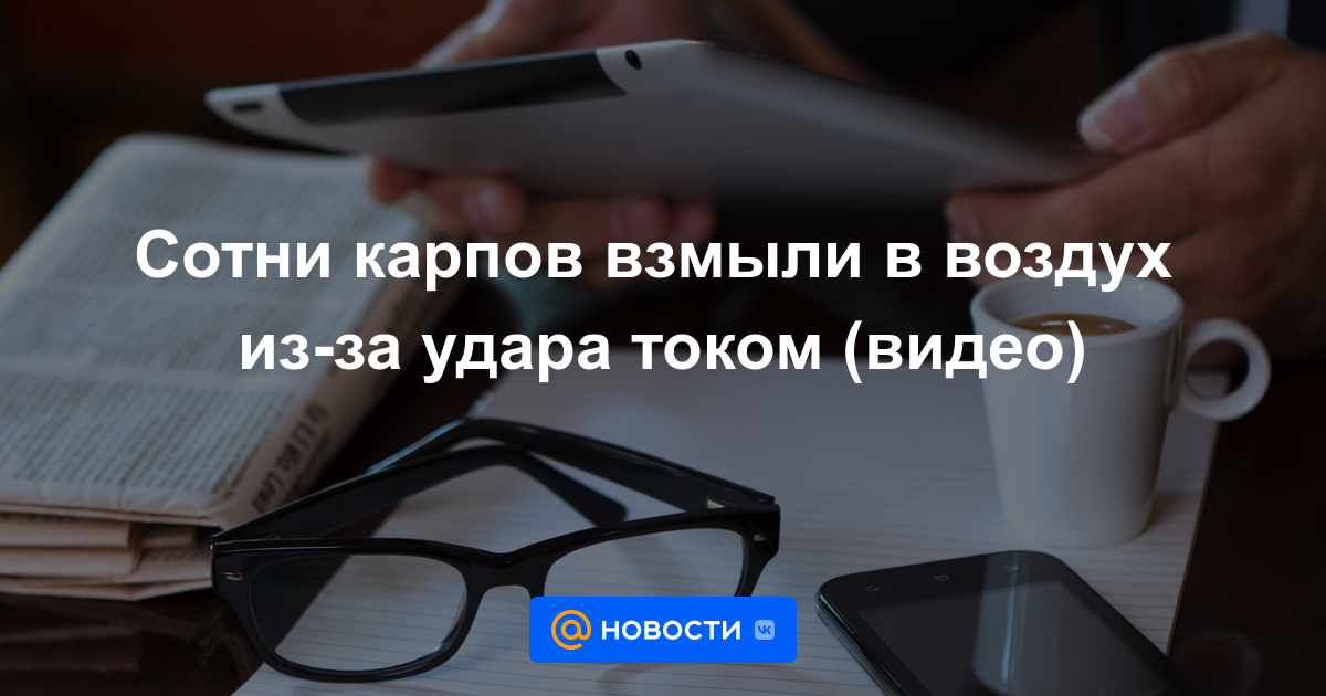 https://news.mail.ru/social_preview/38197060/?time=9b9a43a12193805f3648bc33c45be88c
